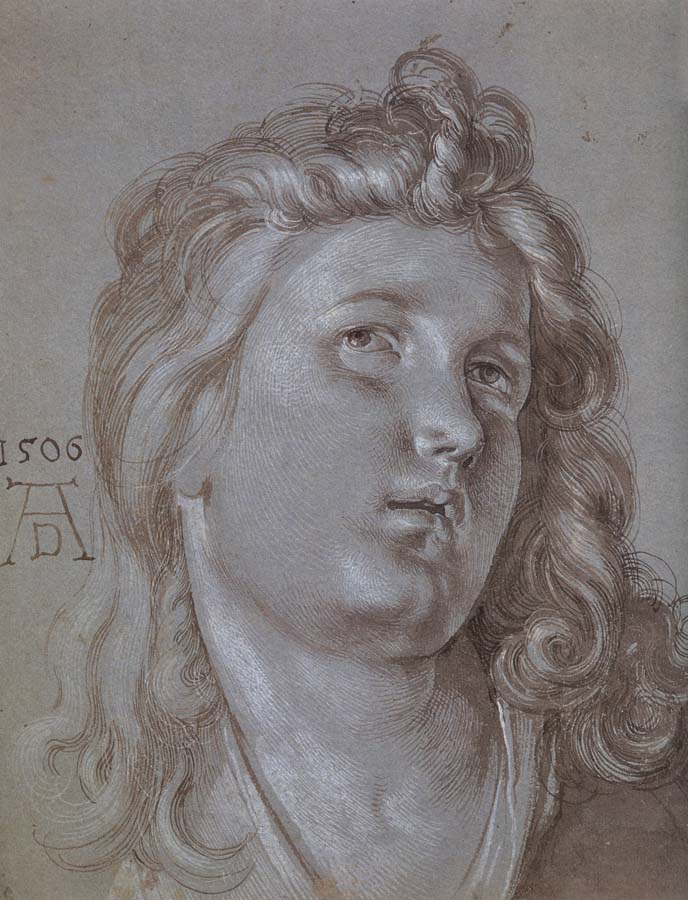 Albrecht Durer Head of an  angel